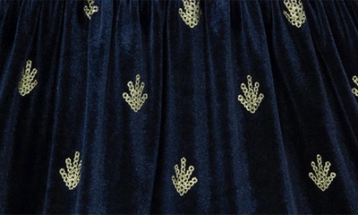 Shop Peek Aren't You Curious Kids' Tress Sequin Velvet Dress In Navy