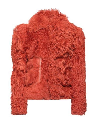 Shop Dfour Woman Jacket Rust Size 6 Shearling In Red