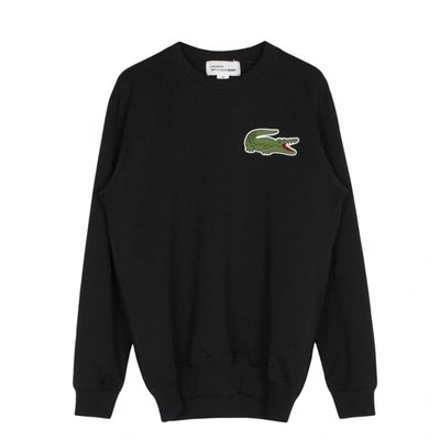Shop Comme Des Garçons Lacoste Logo Sweatshirt In Nero