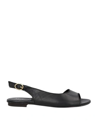 Shop Noa A. Woman Sandals Black Size 8 Soft Leather