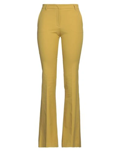 Shop Ql2  Quelledue Ql2 Quelledue Woman Pants Mustard Size 8 Cotton, Lycra In Yellow