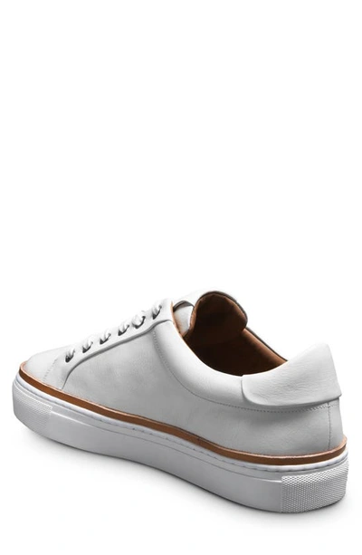 Shop Allen Edmonds Flynn Leather Sneaker In White