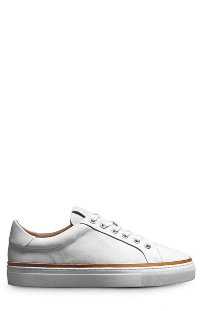 Shop Allen Edmonds Flynn Leather Sneaker In White