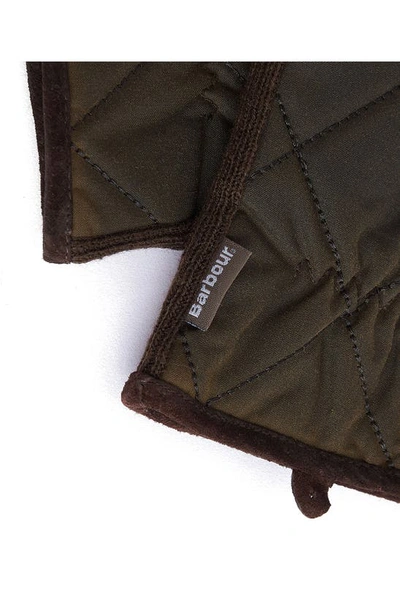 Shop Barbour Winterdale Wax Cotton Gloves In Olive/ Brown