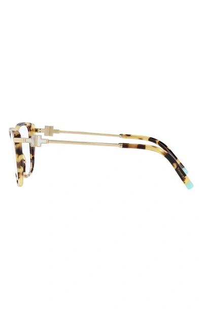 Shop Tiffany & Co 52mm Butterfly Optical Glasses In Dark Havana