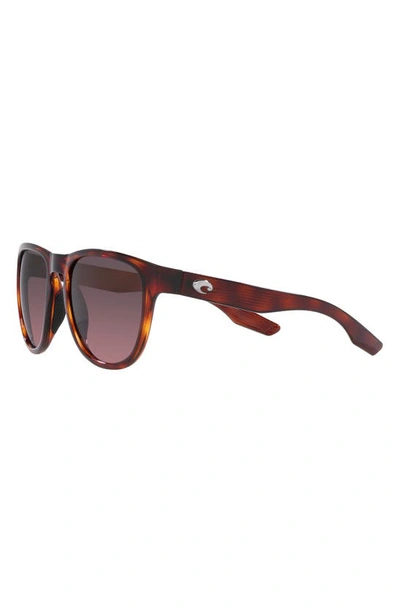 Costa Del Mar Irie 55mm Gradient Pilot Sunglasses In Tortoise