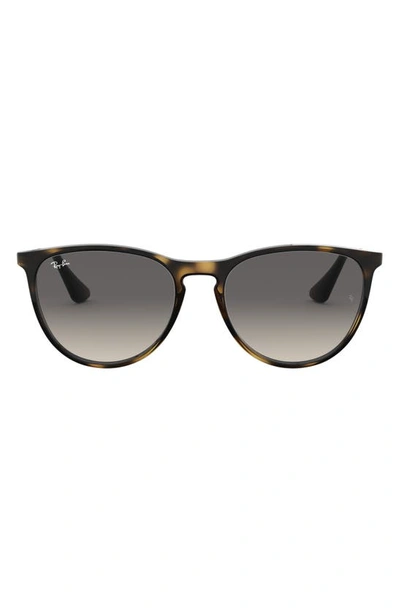 Ray Ban Kids Erika Sunglasses In Havana