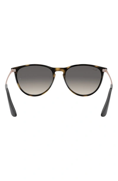 Ray Ban Kids Erika Sunglasses In Havana