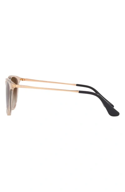 Ray Ban Ray-ban Kids' Junior Erika 50mm Gradient Phantos Sunglasses In Transparent Brown