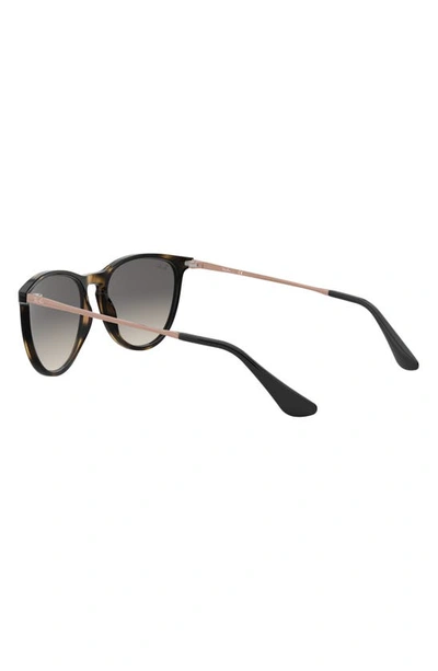 Ray Ban Kids Erika Sunglasses In Havana