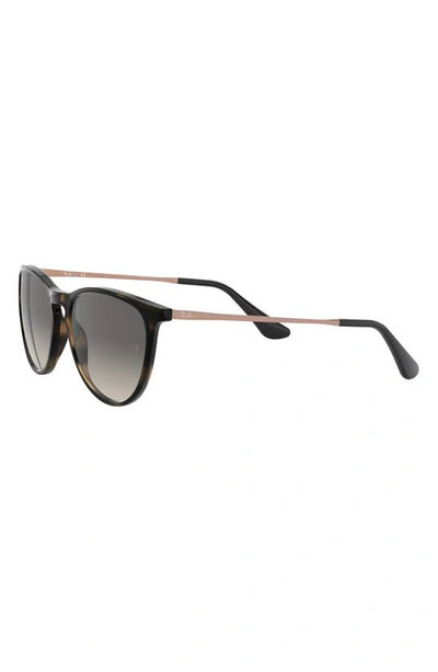 Ray Ban Kids Erika Sunglasses In Havana