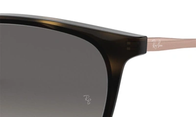 Ray Ban Kids Erika Sunglasses In Havana