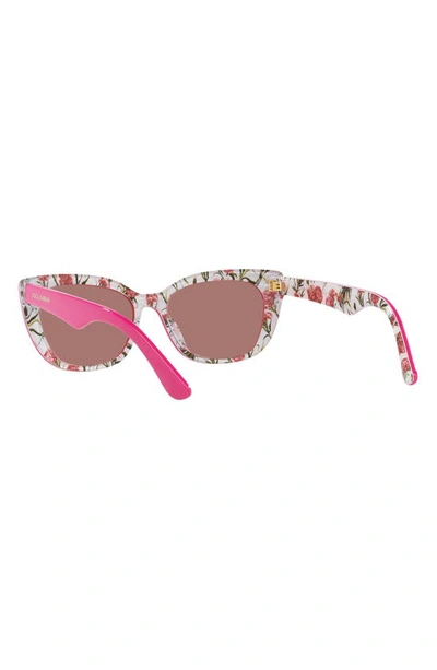 Dolce & Gabbana Dolce&gabbana 49mm Small Mirrored Cat Eye Sunglasses In Rose Gold