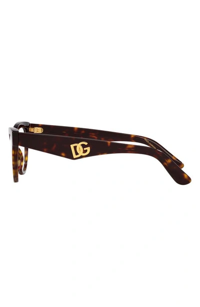 Dolce & Gabbana 52mm Butterfly Optical Glasses In Havana