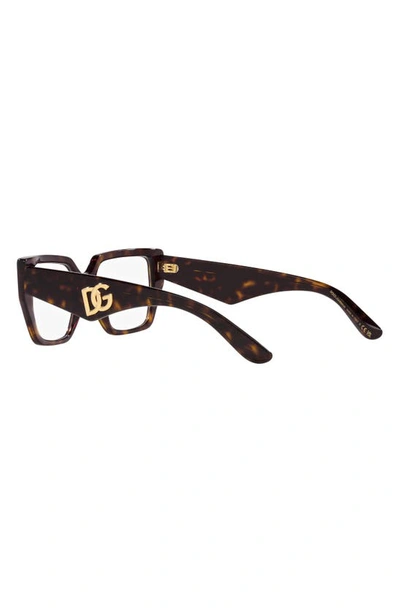 Dolce & Gabbana 55mm Square Optical Glasses In Havana