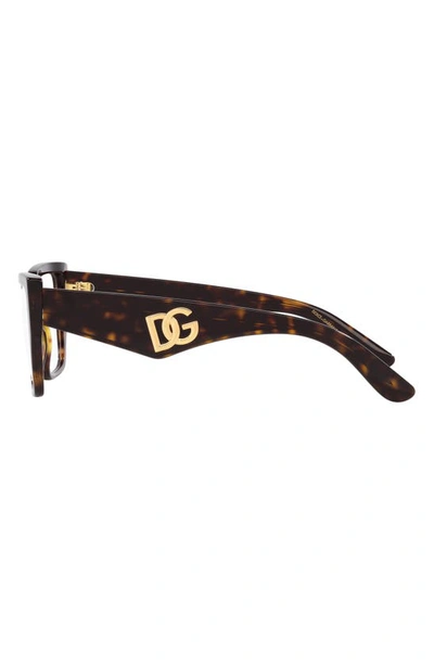 Dolce & Gabbana 55mm Square Optical Glasses In Havana