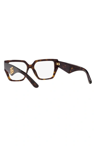 Dolce & Gabbana 55mm Square Optical Glasses In Havana