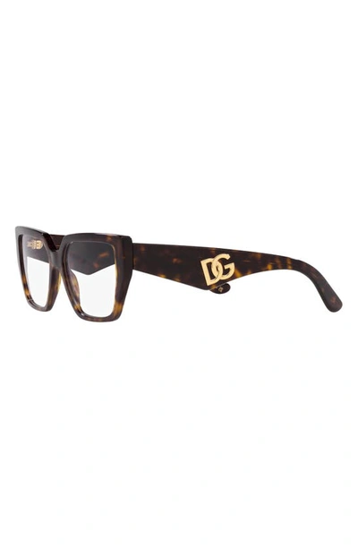 Dolce & Gabbana 55mm Square Optical Glasses In Havana
