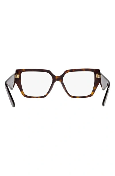 Dolce & Gabbana 55mm Square Optical Glasses In Havana