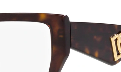 Dolce & Gabbana 55mm Square Optical Glasses In Havana