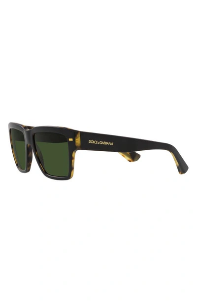 Shop Dolce & Gabbana 55mm Square Sunglasses In Dark Green