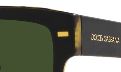 Shop Dolce & Gabbana 55mm Square Sunglasses In Dark Green
