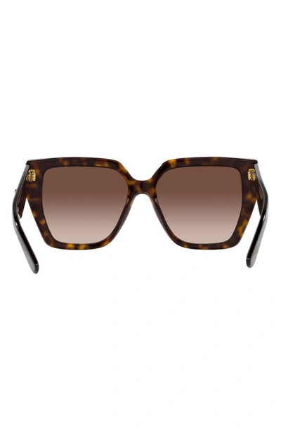 Shop Dolce & Gabbana 55mm Gradient Square Sunglasses In Havana