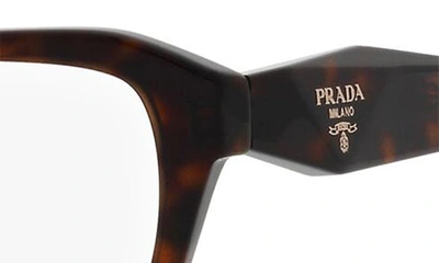 Shop Prada 55mm Square Optical Glasses In Dark Havana