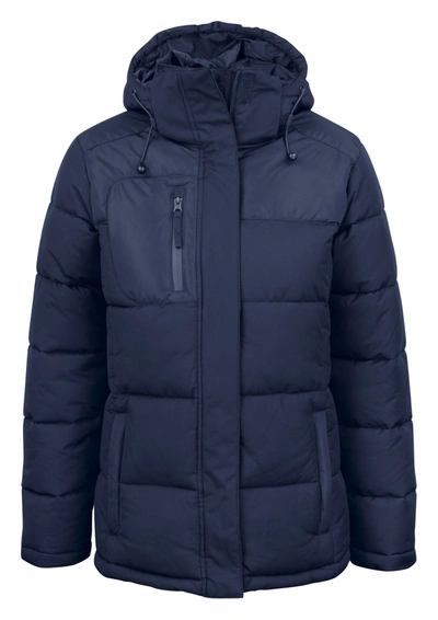 Shop Clique Blizzard Insulated Womens Jacket In Blue
