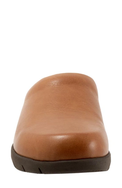 Softwalk Andria Mule In Luggage