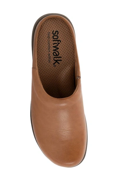 Softwalk Andria Mule In Luggage