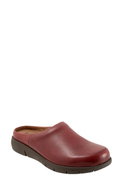 Shop Softwalk ® Andria Mule In Dark Red Suede