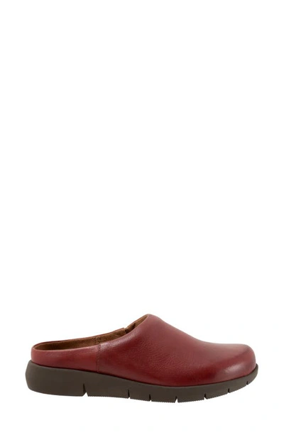 Shop Softwalk ® Andria Mule In Dark Red Suede