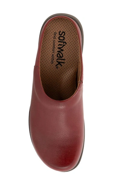 Shop Softwalk ® Andria Mule In Dark Red Suede