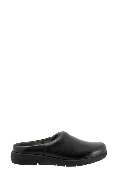 Softwalk Andria Mule In Black