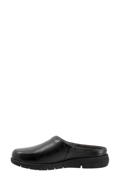 Softwalk Andria Mule In Black
