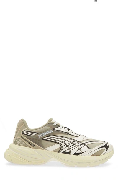 Puma Pleasures Velophasis Lace-up Sneakers In Birch Tree-anise Flower