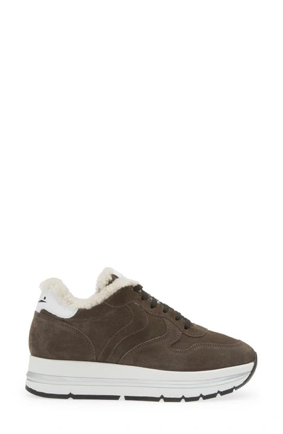 Shop Voile Blanche Maran Genuine Shearling & Suede Sneaker In Dark Grey