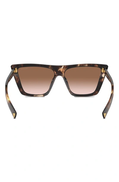 Shop Prada 56mm Square Sunglasses In Brown Tortoise