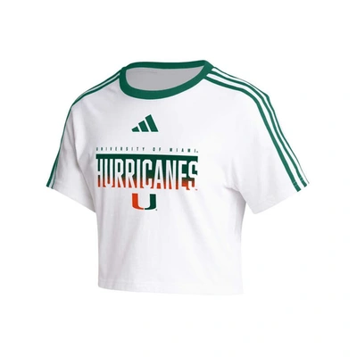 Shop Adidas Originals Adidas White Miami Hurricanes Three-stripes Cropped T-shirt
