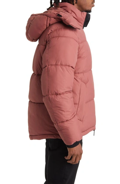 Shop The Very Warm Gender Inclusive Hooded Puffer Coat In Auburne