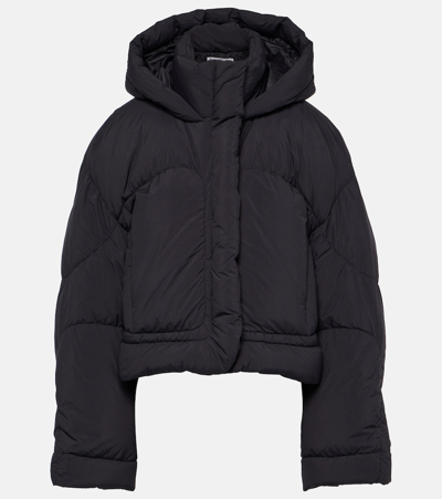 Shop Acne Studios Hooded Puffer Jacket In Black