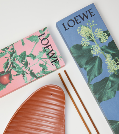 Shop Loewe Ivy Incense Set In Multicoloured