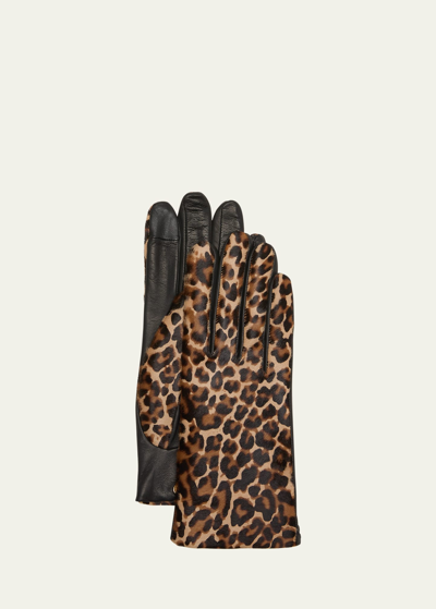 Shop Agnelle Leopard Leather Gloves In Tnoirpanther