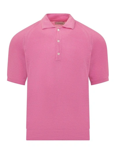 Shop Laneus Pink Cotton Polo Shirt