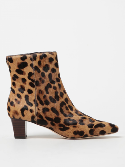 Shop Lauren Ralph Lauren Flat Ankle Boots  Woman In Brown