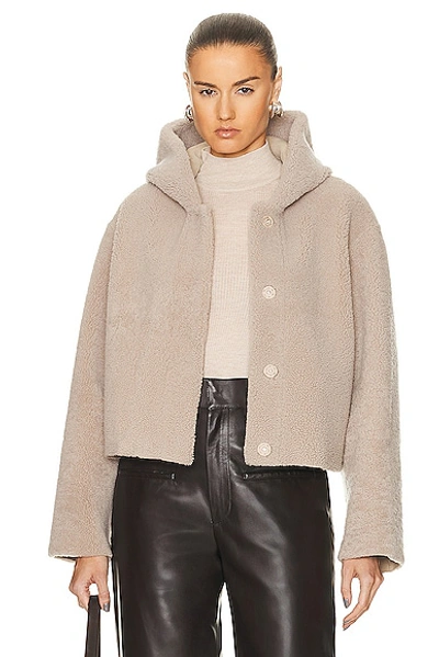 Shop Nour Hammour Cooper Cropped Light Shearling Jacket In Vanilla