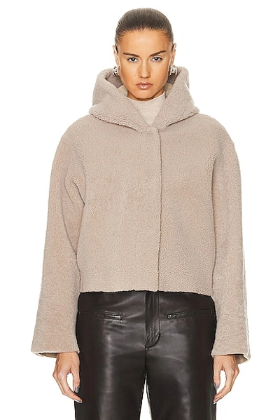 Shop Nour Hammour Cooper Cropped Light Shearling Jacket In Vanilla