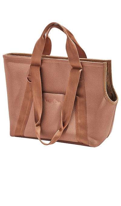 Shop Wild One Everyday Carrier In Brown