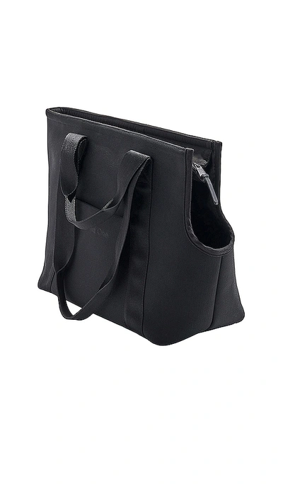 Shop Wild One Everyday Carrier In Black